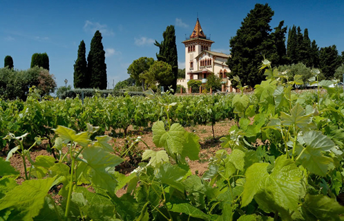 普羅旺斯產(chǎn)區(qū)（Provence）
