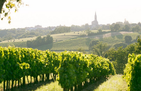 法國香檳產區(qū)（Champagne, France）