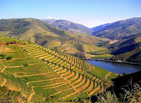 葡萄牙杜羅河（Douro，Portugal）