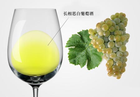 長(zhǎng)相思葡萄酒：與眾不同的白葡萄酒