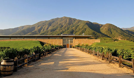 蒙特斯酒莊（Montes Wines）