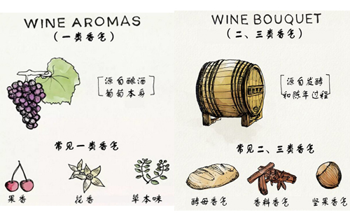 葡萄酒的三類(lèi)香氣