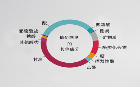 葡萄酒里的成分有哪些？