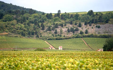 1、法國(guó)，勃艮第