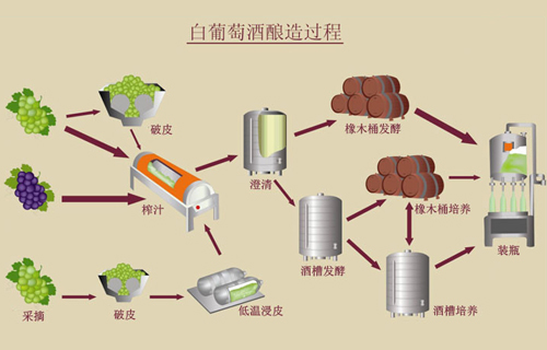 白葡萄酒的釀造過程