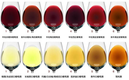 為什么葡萄酒會有很多種顏色？