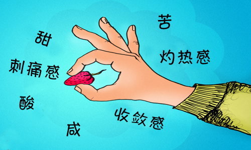 品酒詞匯解讀：味道、香氣和風(fēng)味