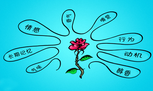 品酒詞匯解讀：味道、香氣和風(fēng)味