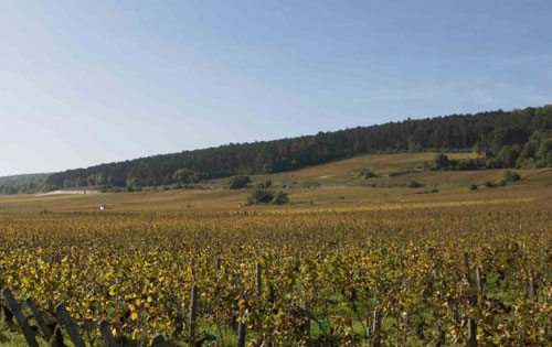 熱夫雷-香貝丹（Gevrey-Chambertin）葡萄酒產(chǎn)區(qū)