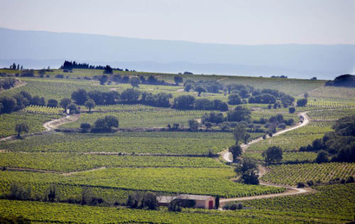 羅納河谷（Rhone Valley）葡萄酒產(chǎn)區(qū)