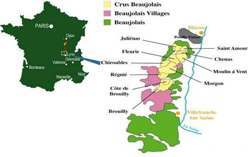 博若萊產(chǎn)區(qū)葡萄酒分級(jí)