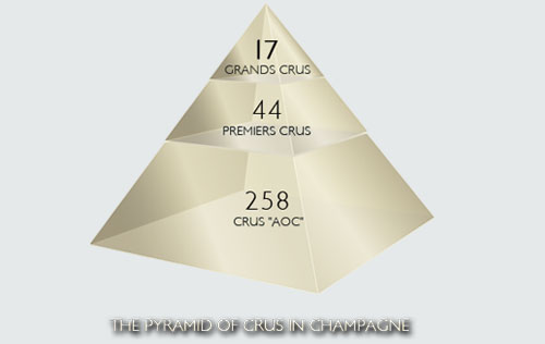 香檳產(chǎn)區(qū)（Champagne）葡萄園分級(jí)