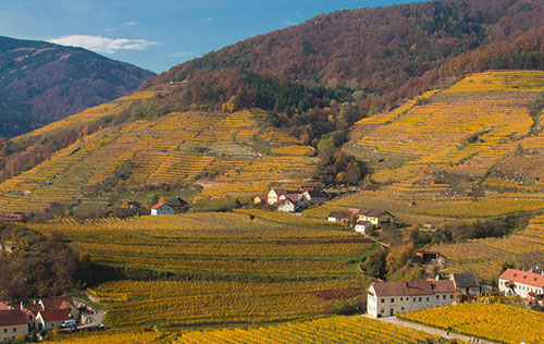 瓦豪產(chǎn)區(qū)（Wachau）