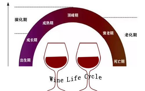 葡萄酒的演化、氧化與老化