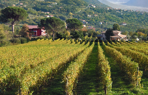 伊皮尼亞產(chǎn)區(qū)（Irpinia）