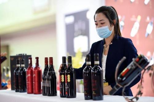 首屆中國（寧夏）國際葡萄酒文化旅游博覽會開幕