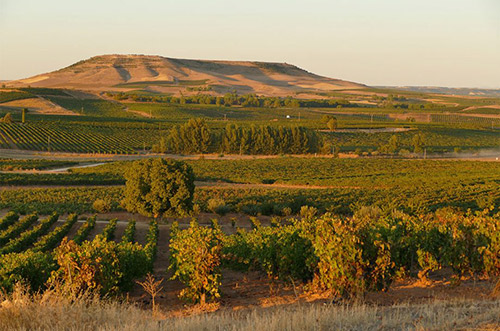 杜埃羅河岸產(chǎn)區(qū)（Ribera del Duero）